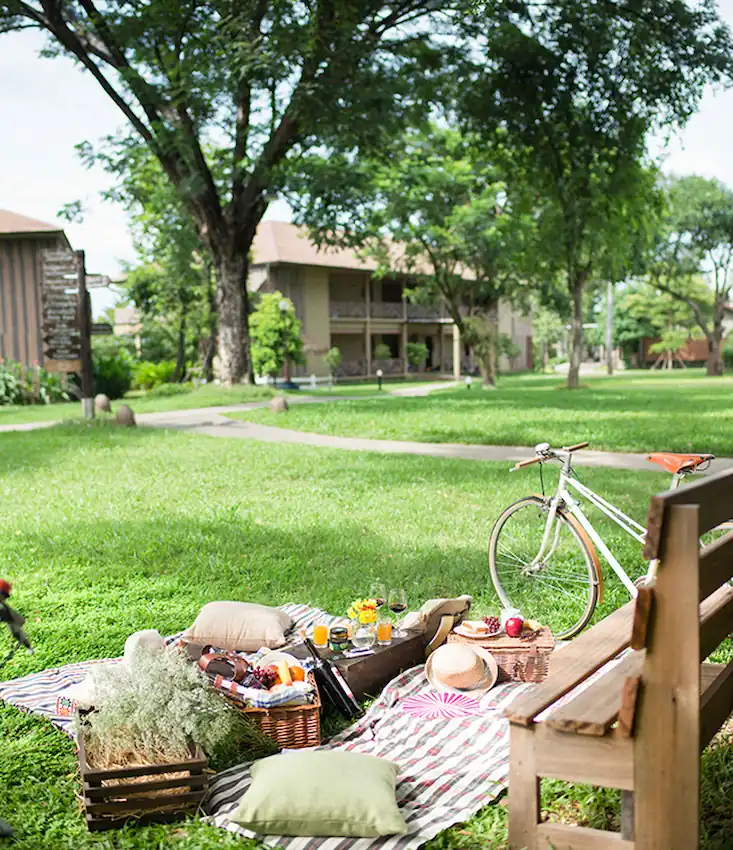 A beautiful picnic setup on a green lawn at the resort.